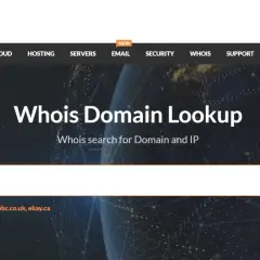 Strona Whois Domain Lookup z polem wyszukiwania domeny i przyciskiem "Search".
