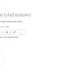 WordPress online: Jak opublikować stronę bez błędów?