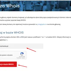 Jak sprawdzić właściciela domeny? Nawet gdy dane są ukryte!