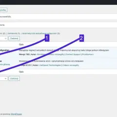 Migracja WordPress: Przenieś stronę na nowy serwer bez stresu!