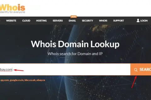 Strona Whois Domain Lookup z polem wyszukiwania domeny i przyciskiem "Search".