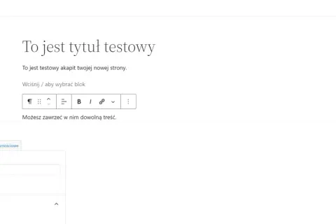 WordPress online: Jak opublikować stronę bez błędów?
