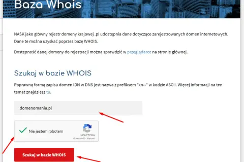 Jak sprawdzić właściciela domeny? Nawet gdy dane są ukryte!