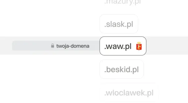Rejestracja domeny .pl: Jak nie przepłacić? Przewodnik krok po kroku