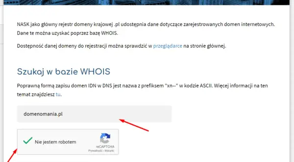 Jak sprawdzić właściciela domeny? Nawet gdy dane są ukryte!