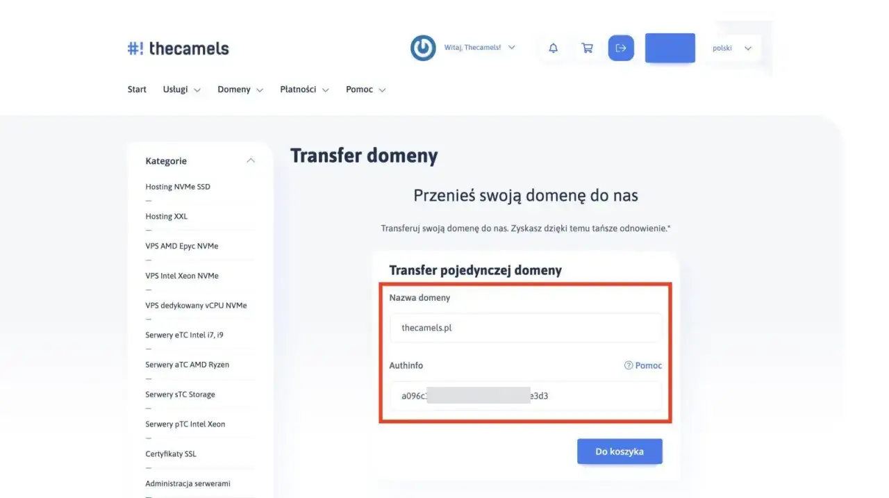 Formularz do transferu domeny. Wpisz nazwę domeny i kod Authinfo, aby przenieść domenę.