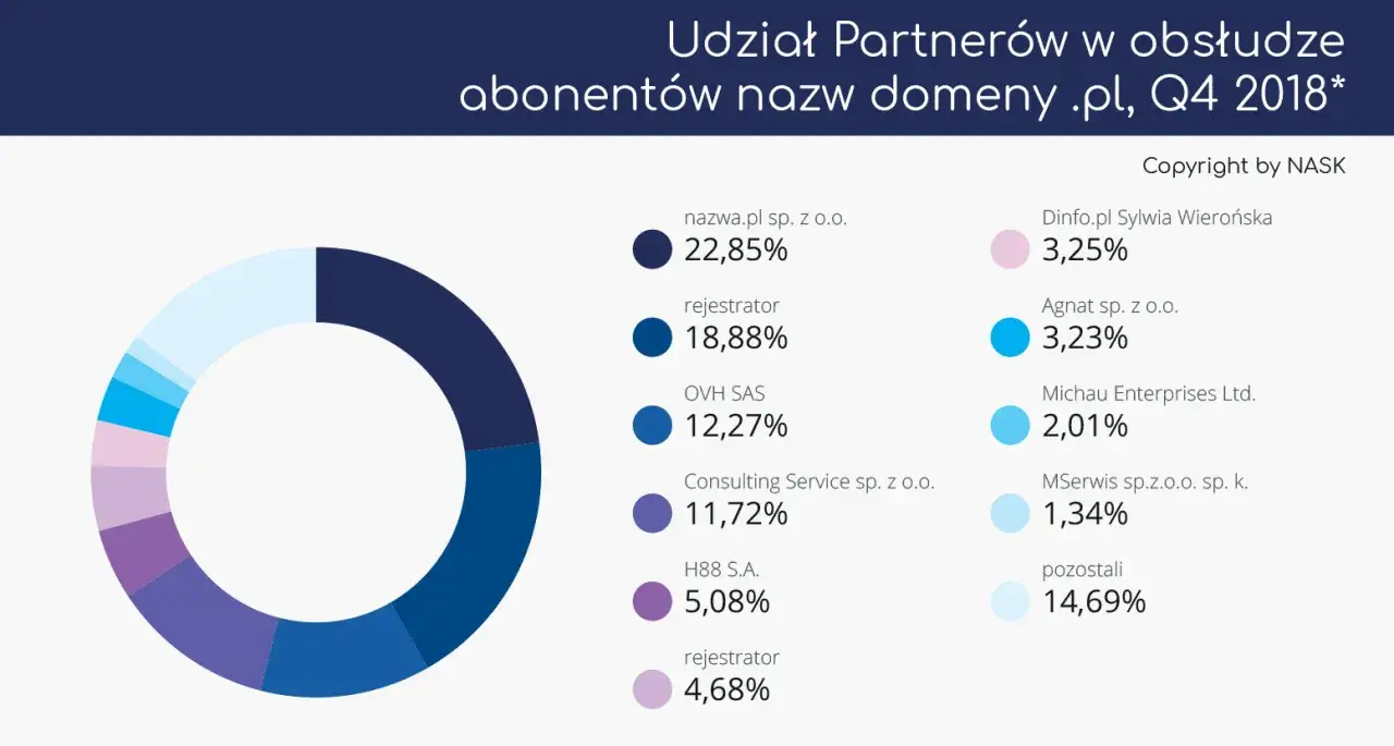 Flaga Polski z symbolem domeny .pl lub logo NASK
