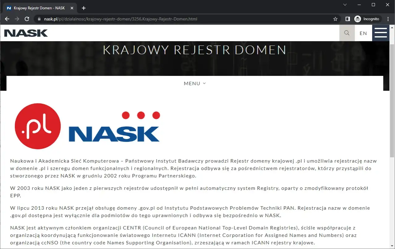 rodzaje domen internetowych przykłady
