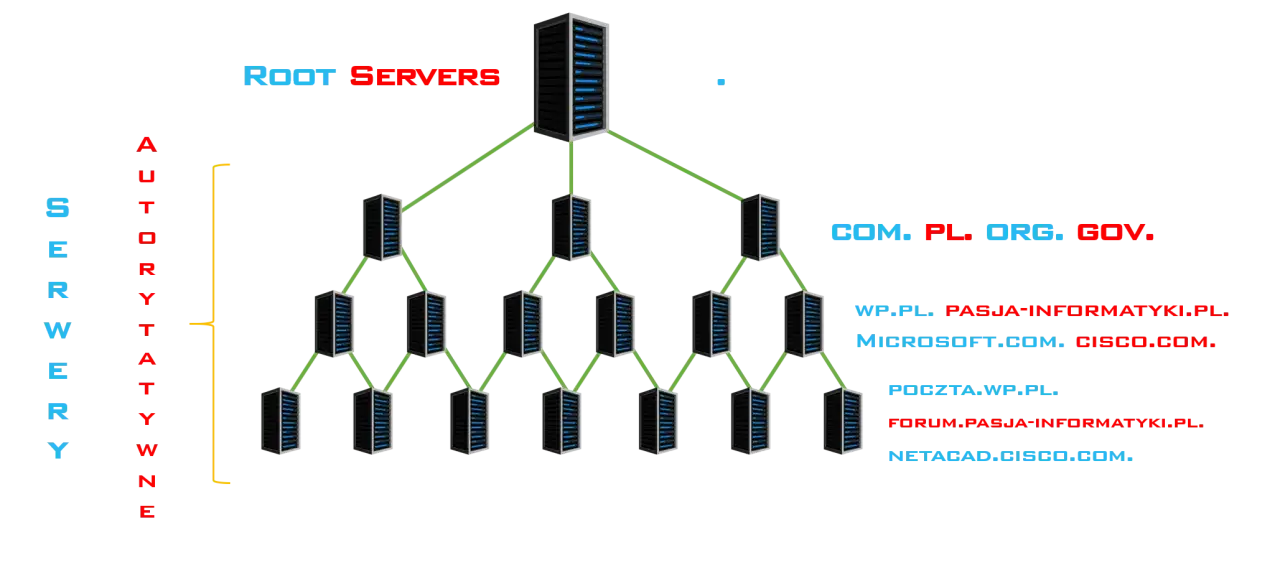 rodzaje domen internetowych grafika