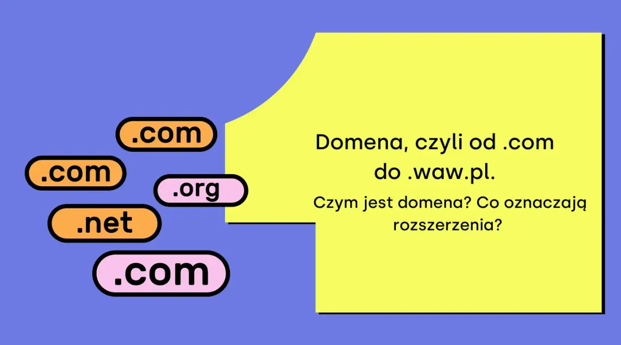 Wybór nazwy domeny infografika
