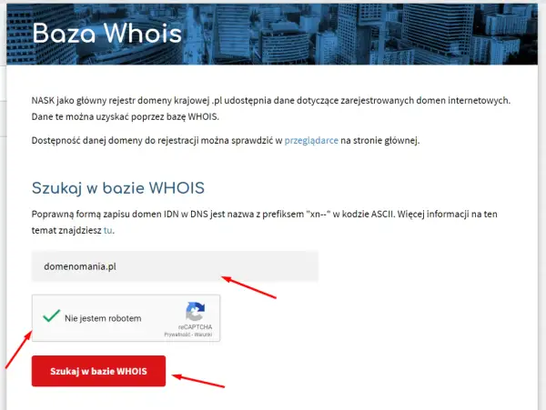 Jak sprawdzić właściciela domeny? Nawet gdy dane są ukryte!